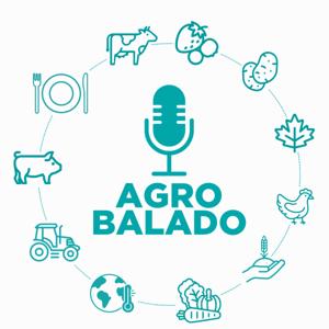 Agro Balado