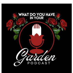 What Do You Have In Your Podcast