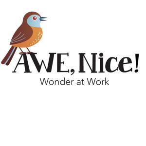 Awe, Nice!