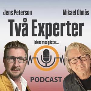 Två experter