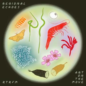 Regional Echoes