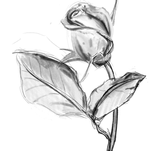 artofkylin 3Speak Podcast