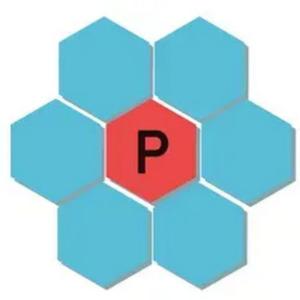 Solucions Paraulogic Avui