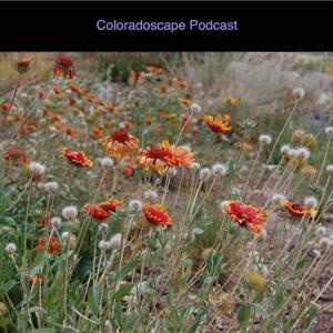 Coloradoscape: The Official Wild Ones Front Range Podcast