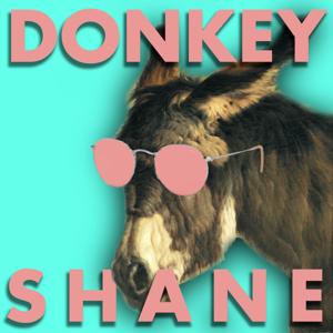 Donkey Shane