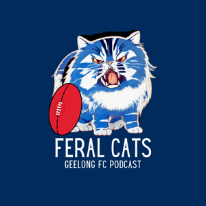 Feral Cats-Geelong by Tim Francis