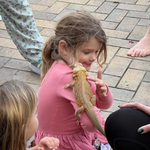 Animal Camp