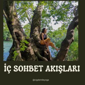 İç Sohbet Akışları