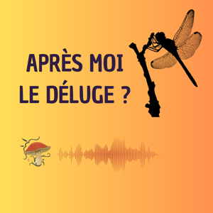 Après moi le déluge ?