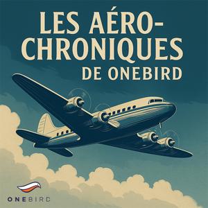 Les Aéro-Chroniques de ONEBIRD