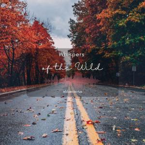 Whispers of the Wild