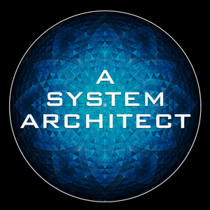 A System Architect