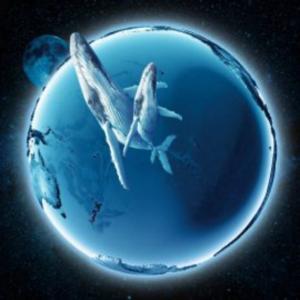 Požičaná planéta