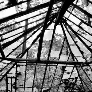 homo conscius - Die nächste Stufe des Menschsein