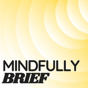 Mindfully Brief