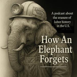 How An Elephant Forgets