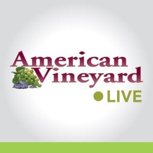 American Vineyard Live