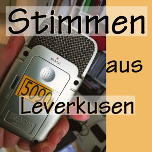 Stimmen aus Leverkusen