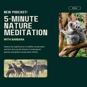 5-Minute Nature Meditation