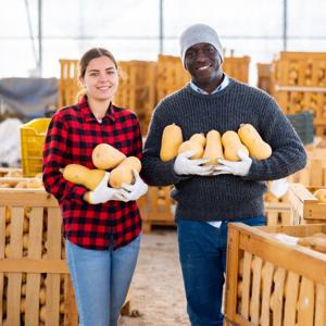 The Food Hub Podcast