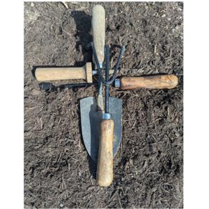 Picking Jesus
