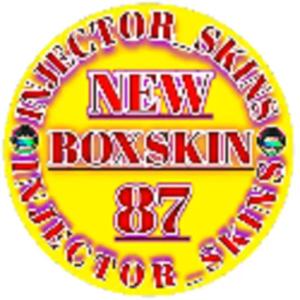 Box Skin