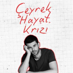 Çeyrek Hayat Krizi