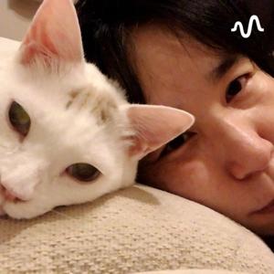 猫たちと暮らす絵描き🎨ソラの部屋🐾
