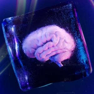 Culture Neurodivergente