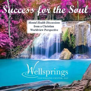 Success for the Soul