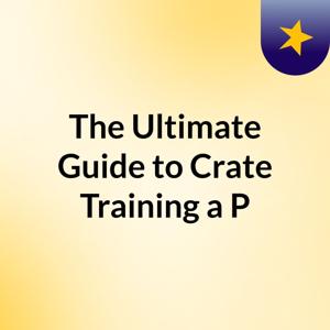 The Ultimate Guide to Crate Training a P