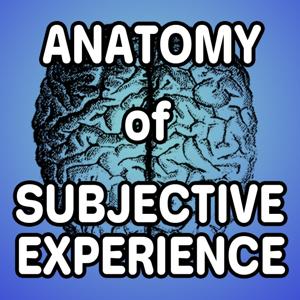 Anatomy of Subjective Experience