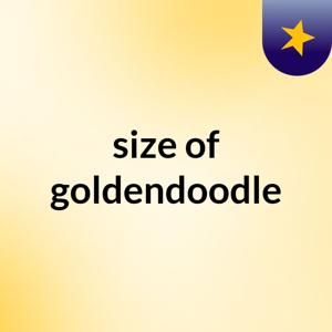 size of goldendoodle