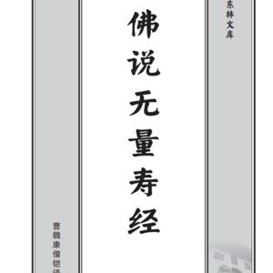 解读阿弥陀经/无量寿经／观无量寿经／往生论