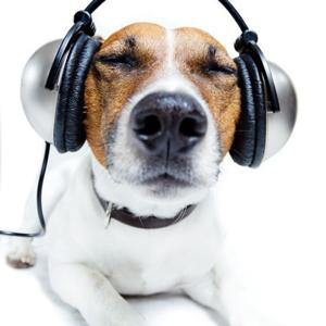 Musica, instrumentos y mas.