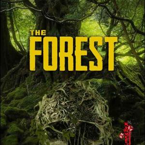 The forest