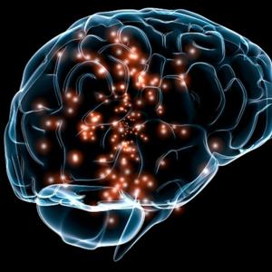 La neurociencia cognitiva.(Ruth Adames).