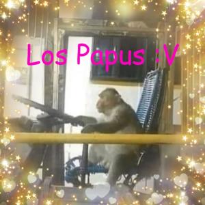 Los Papus :V