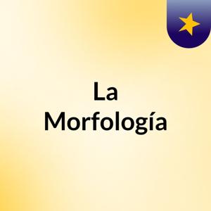 La Morfología