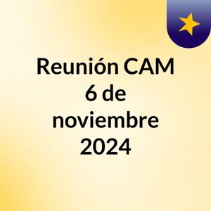 Reunión CAM 6 de noviembre 2024