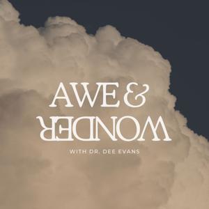 Awe and Wonder