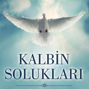 Kalbin Solukları