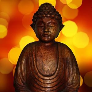 Ouder en Kind meditaties