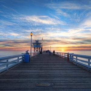 慵懒猫猫的午后阳光