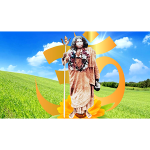 ভারত সেবাশ্রম সংঘের প্রতিষ্ঠাতা আচার্য শ্রীমৎ স্বামী প্রণবানন্দজী মহারাজের কথা ও কিছু অন্য গল্প