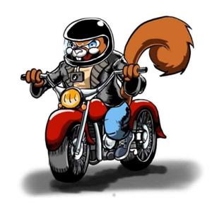 Zombies, Skulls and Motorcycles