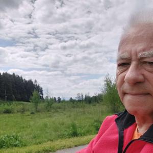 Maciej Pinkwart, Felietony bieżące