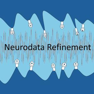 Neurodata Refinement
