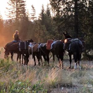 jackson Hole Outfitters