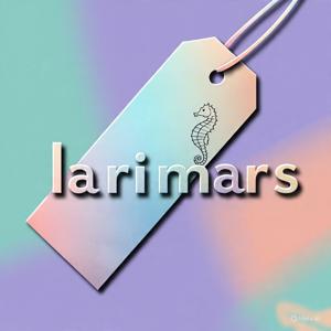 Larimars Clothing